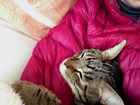 ねんねあさん♩ ねんねあさん♩