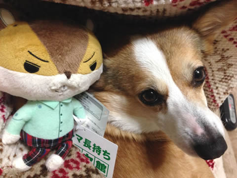 アキラ先輩〜♩ アキラ先輩〜♩