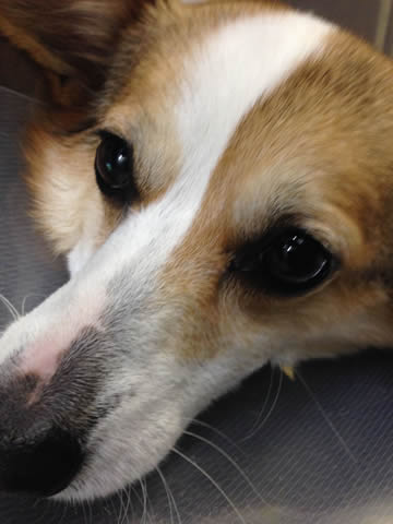 二日目 二日目