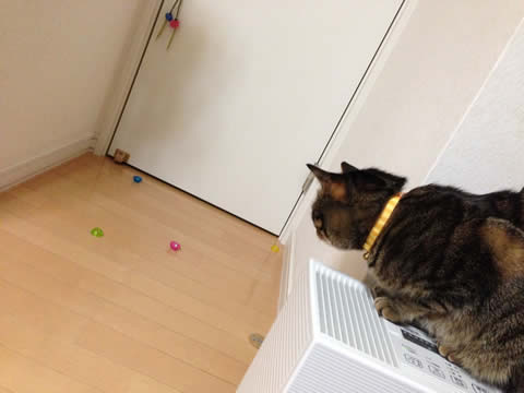 パッチンパッチン パッチンパッチン