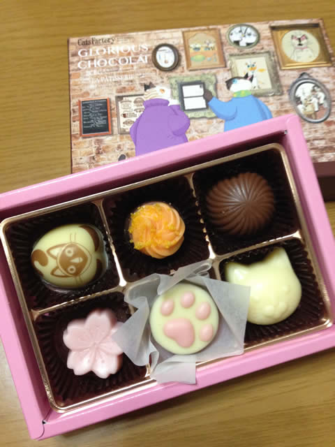 チョコ〜ヽ(^。^)丿 チョコ〜ヽ(^。^)丿