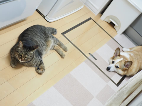 飯待ち中 飯待ち中