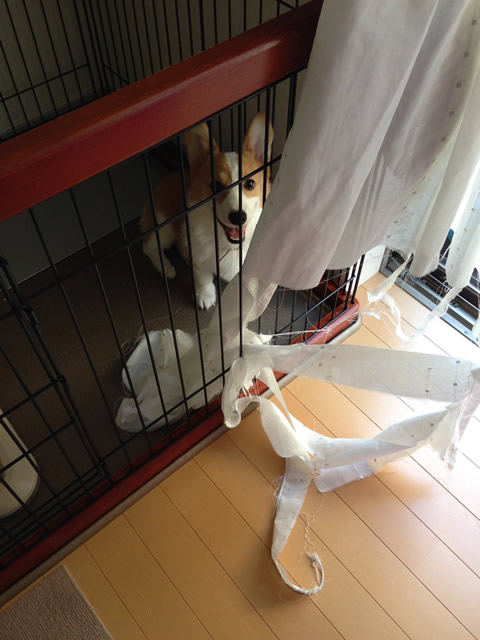 いいかおー笑 いいかおー笑
