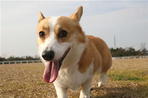 またまた登場よ! またまた登場よ!