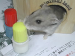 よく頑張ったね。 よく頑張ったね。